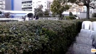 国产a片一区二区